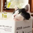 リング綴じ卓上カレンダー　はこ猫　2018