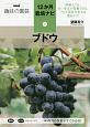 ブドウ　NHK趣味の園芸　12か月栽培ナビ7