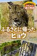 野生どうぶつを救え！本当にあった涙の物語　ふるさとに帰ったヒョウ