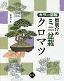 カラー図解　群境介のミニ盆栽　クロマツ