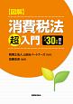 図解・消費税法「超」入門　平成30年