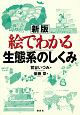 絵でわかる生態系のしくみ＜新版＞　KS絵でわかるシリーズ