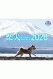 柴犬げんきな　おはなしカレンダー　2020