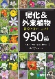 帰化＆外来植物見分け方マニュアル950種　瞬時に同定できる