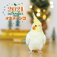 大判カレンダーオカメインコ　2021