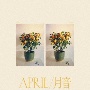 APRIL　／　月音