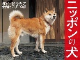 ニッポンの犬カレンダー　2021