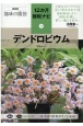 デンドロビウム　NHK趣味の園芸　12か月栽培ナビ15