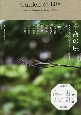 生命の庭　8人の現代作家が見つけた小宇宙