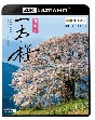 ビコム　4K　Relaxes（リラクシーズ）　日本の一本桜【4K・HDR】  