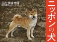岩合光昭　日本の犬カレンダー