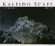 KALEIDO　SCAPE　風景多彩