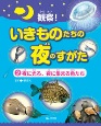 観察！いきものたちの夜のすがた　夜に光る、夜に集まる魚たち　図書館用堅牢製本（2）