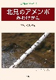 北見のアメンボ　みわけかた