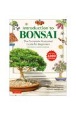 Introduction　to　BONSAI