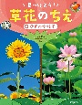 ひまわり・はす　図書館用堅牢製本