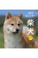 柴犬カレンダー　2023