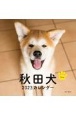 秋田犬カレンダー　2023