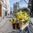 『花時間』Calendar　パリの花・パリの街　2023