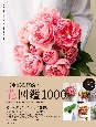 東京植物図譜の花図鑑1000　人気の花の仲卸さんが作った「花図鑑」