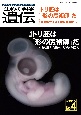 生物の科学遺伝　特集：トリ胚は「形の魔術師」だ　トリの卵から形作りの謎を探る　Vol．77　No．4（202　生き物の多様性、生きざま、人との関わりを知る