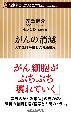 がんの消滅　天才医師が挑む光免疫療法