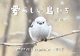 愛らしい鳥たち　カレンダー　2024
