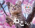 にゃっぷる　旅するねこカレンダー2024　卓上版