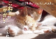 こねこのせかい　Kitten　Calendar【S17】　2024