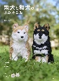 柴犬と和犬のあみぐるみ