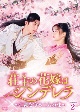 荘主の花嫁はシンデレラ〜江湖を守る二人の愛〜　DVD－BOX2  