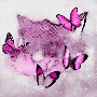 Frozen　Butterfly【SG】