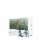 いちばんすきな花　－ディレクターズカット版－　DVD－BOX  