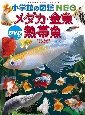 メダカ・金魚・熱帯魚　DVDつき