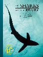 世界のサメ　迫力ビジュアル図鑑