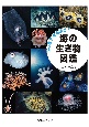 ふしぎ？なるほど！海の生き物図鑑