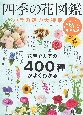 四季の花図鑑　バラの魅力大特集