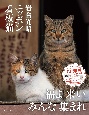 岩合光昭ニッポン看板猫　NFTデジタル特典付特装版