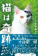 猫は奇跡